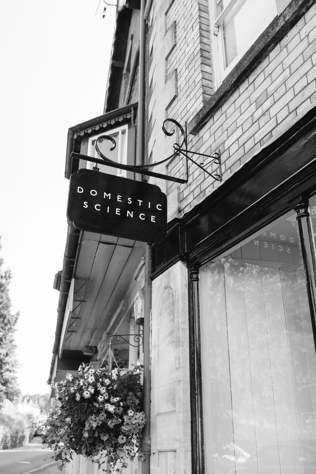 Domestic Science Nailsworth store front sign