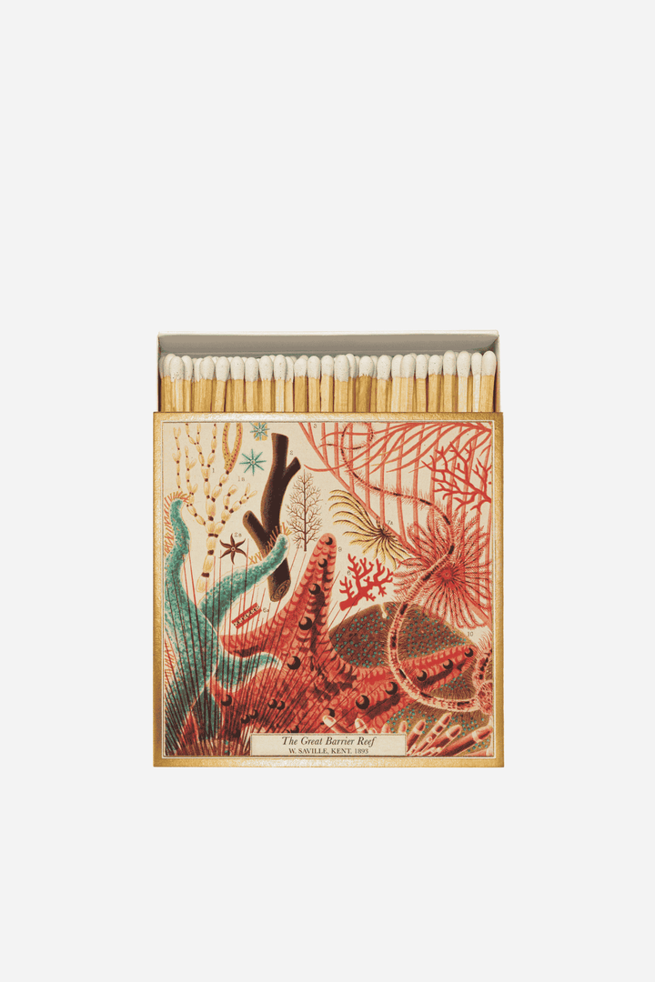 NH Museum Great Barrier Reef Matches
