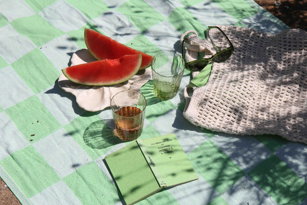 green checked beach towel, dappled light, watermelon and sunglasses