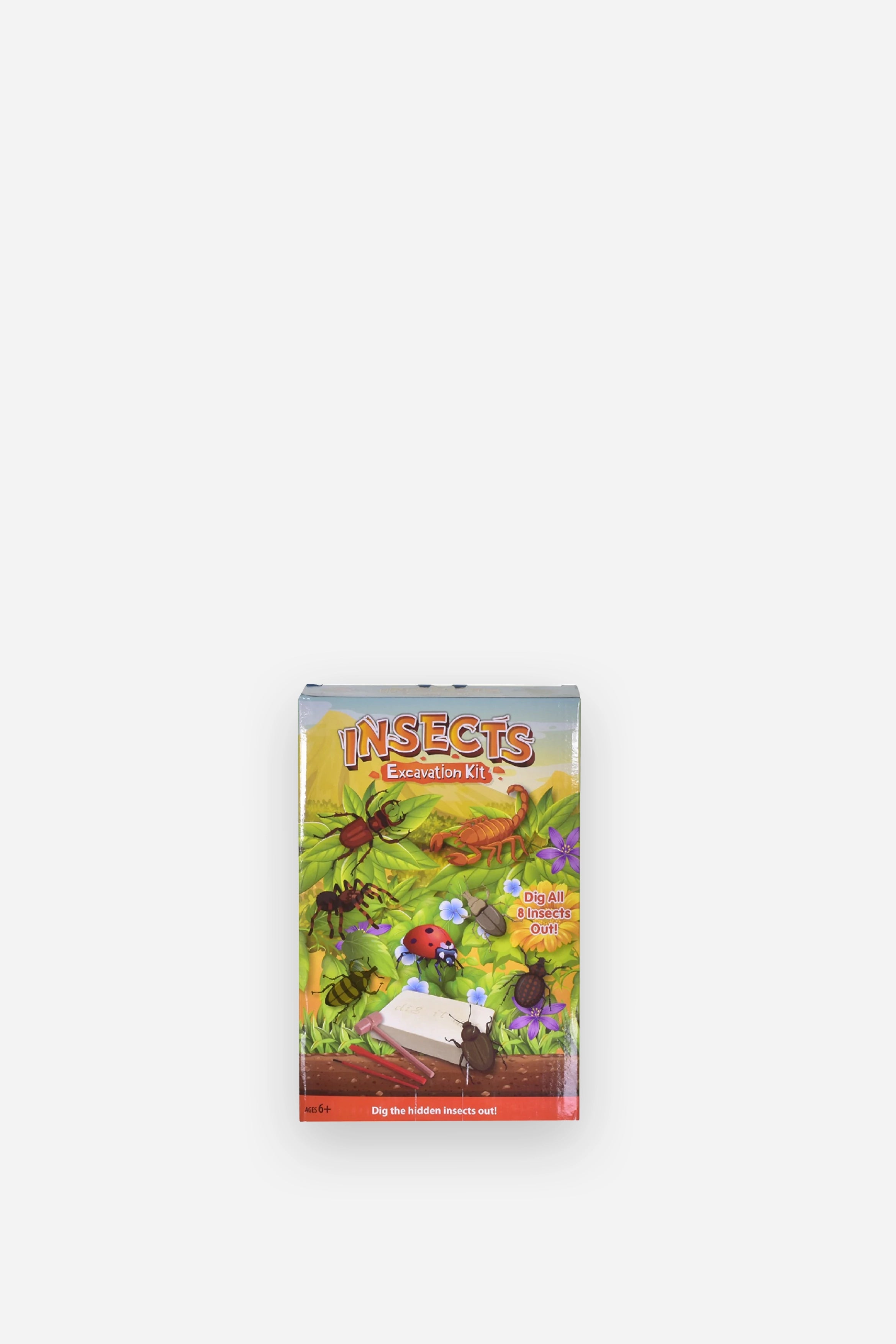 Insect Excavation Kit Domestic Science Home