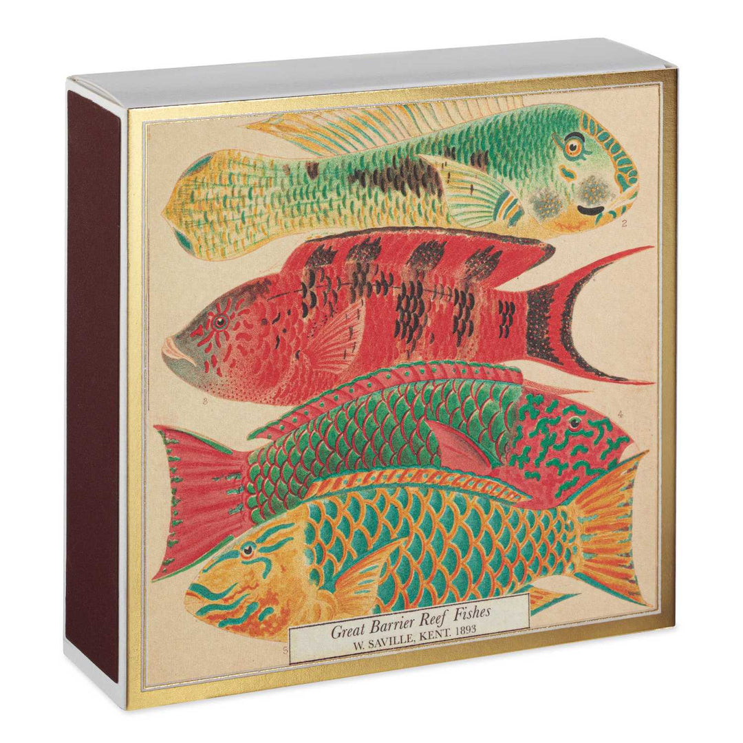 NH Museum Fish Matches