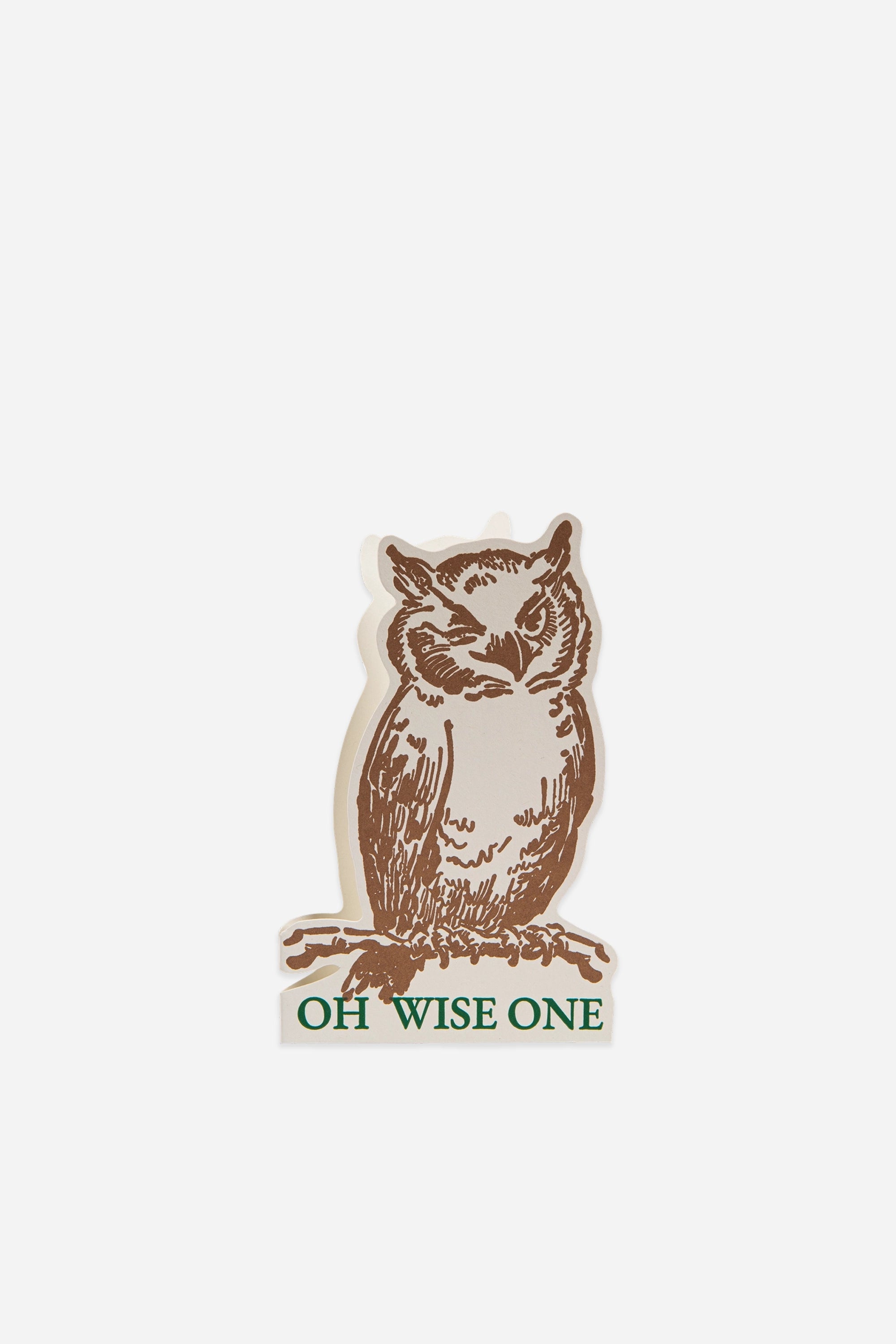 Oh Wise One Owl Card – Domestic Science Home