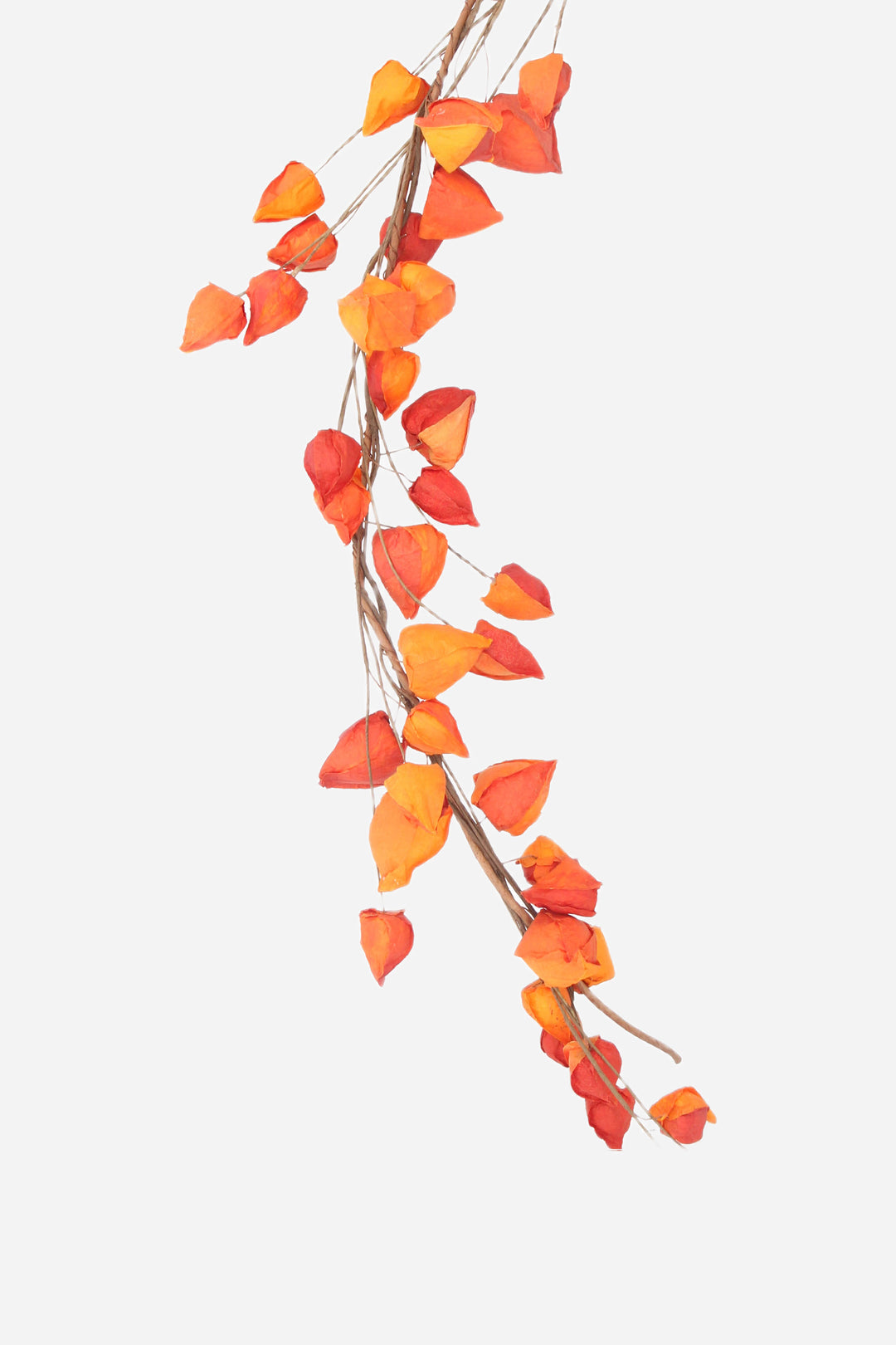 Orange Physalis Garland