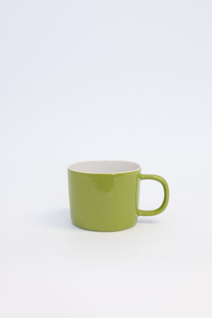 Quail's Egg Ceramics Colourful Mug - Domestic Science Home