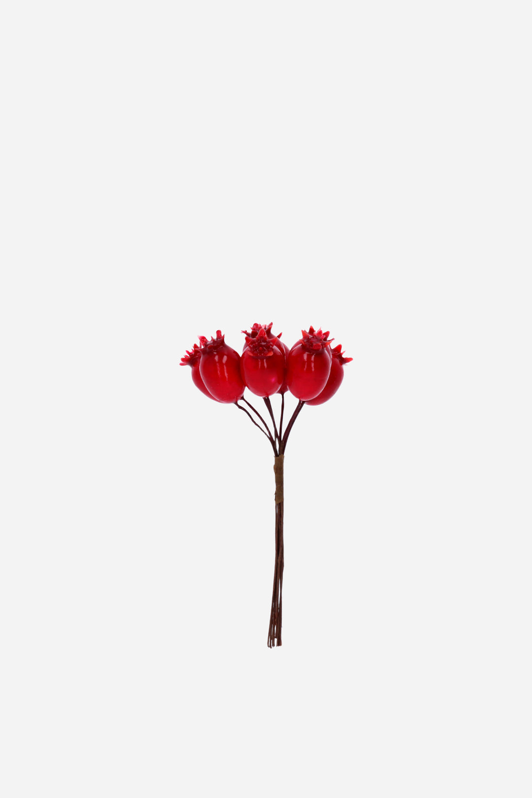 Shiny Red Rosehip Pick Bunch