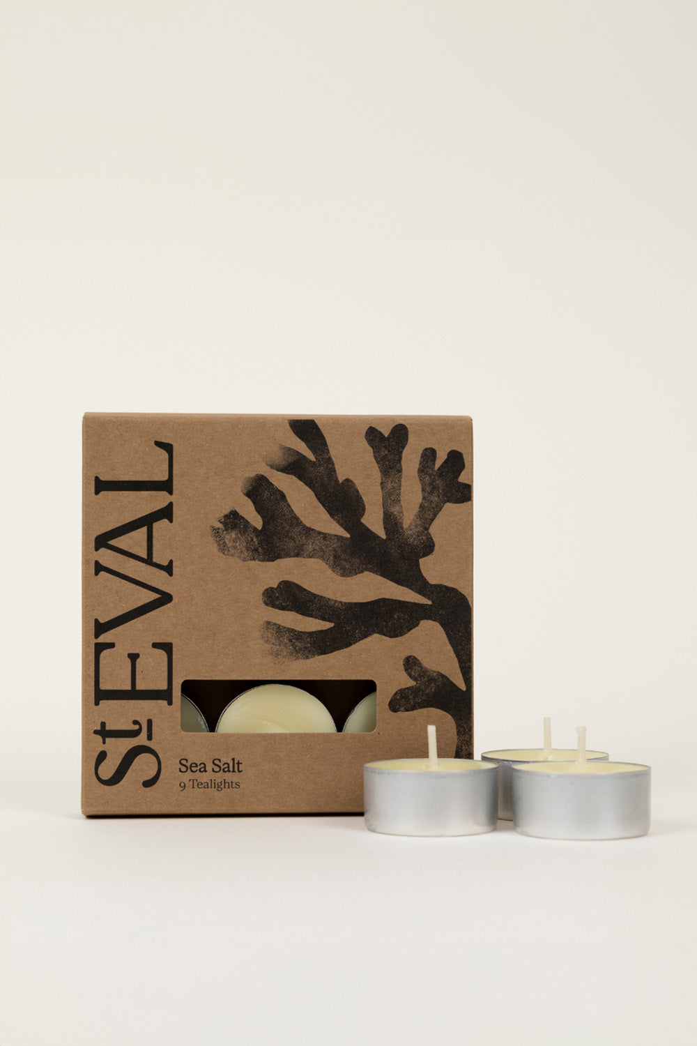 st eval box of t-lights sea salt