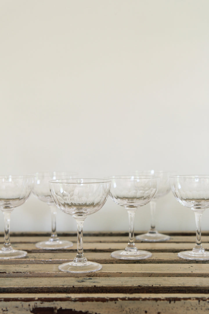 Set of 6 Champagne Saucers / Lens - Domestic Science Home