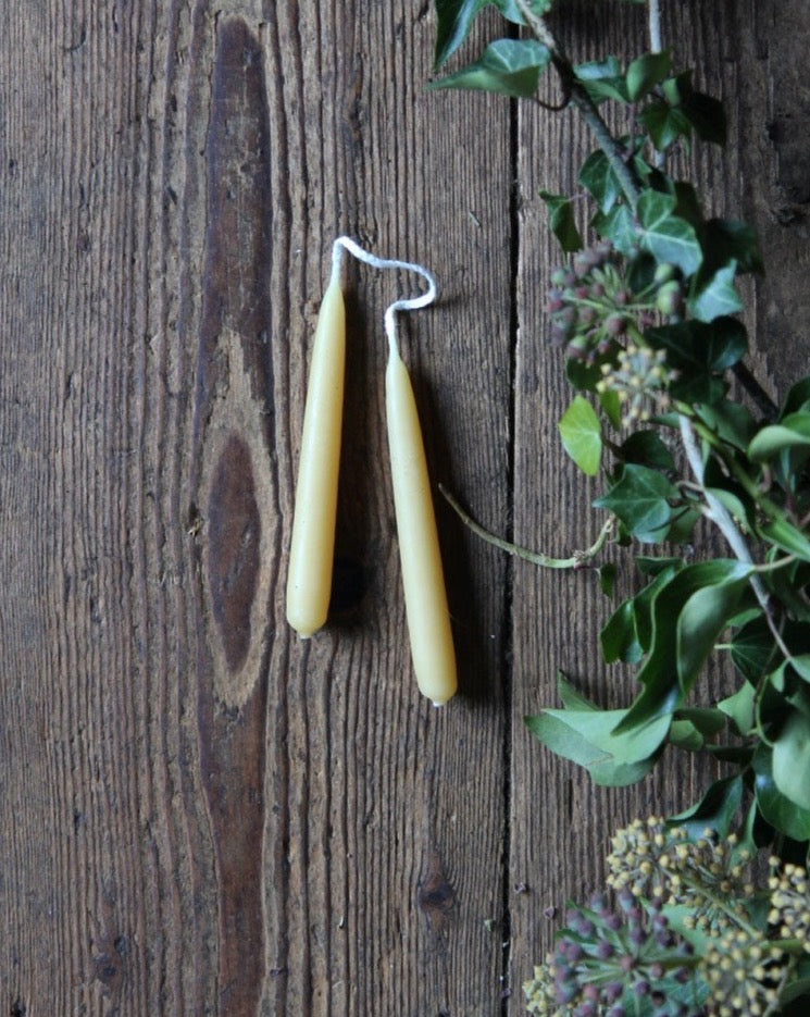 Beeswax Pair of Tree Candles - Domestic Science Home