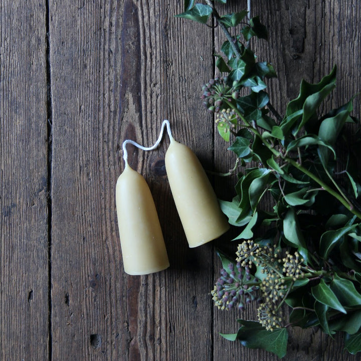 Pair of Stumpy Beeswax Candles - Domestic Science Home