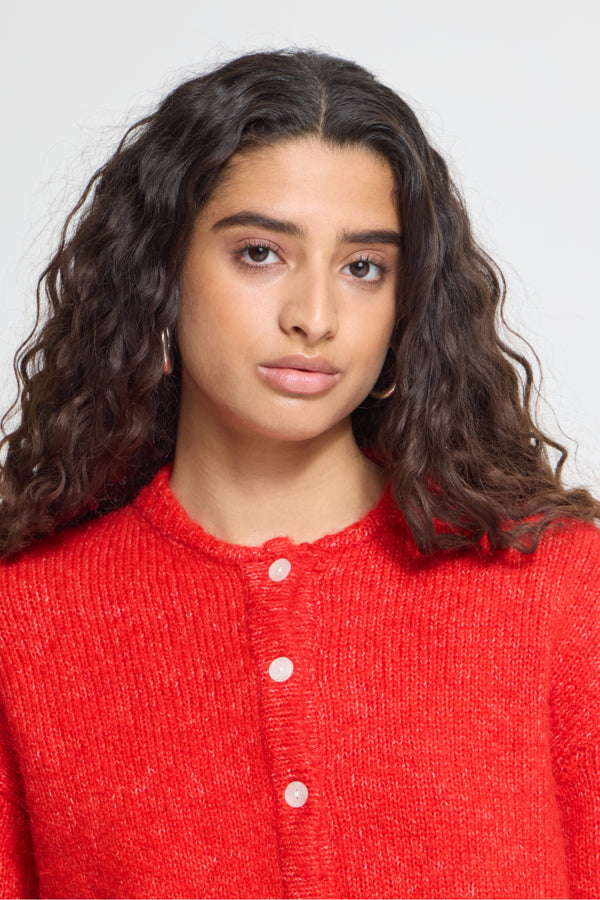 Ihbelablue Cardigan Poinsettia