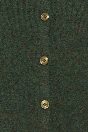 Ihpanora Waistecoat / Green