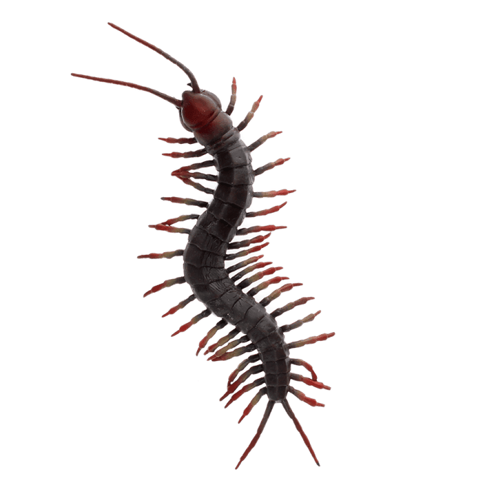 Realistic Centipede Toy