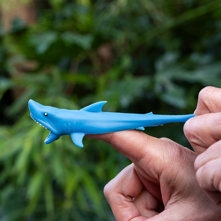 Box of 2 Catapault Sharks