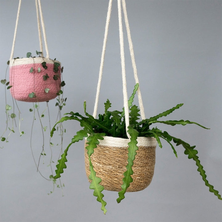 Two hanging woven planters suspended by white ropes against a plain gray background. The planter in front is natural straw-colored with a white rim and holds a green trailing plant.