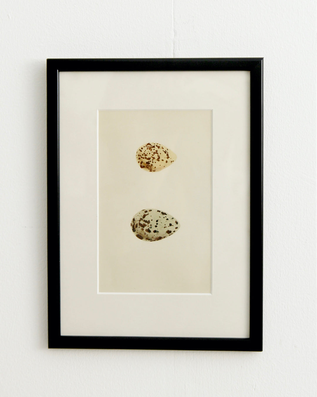 Framed Egg Print / Stilt