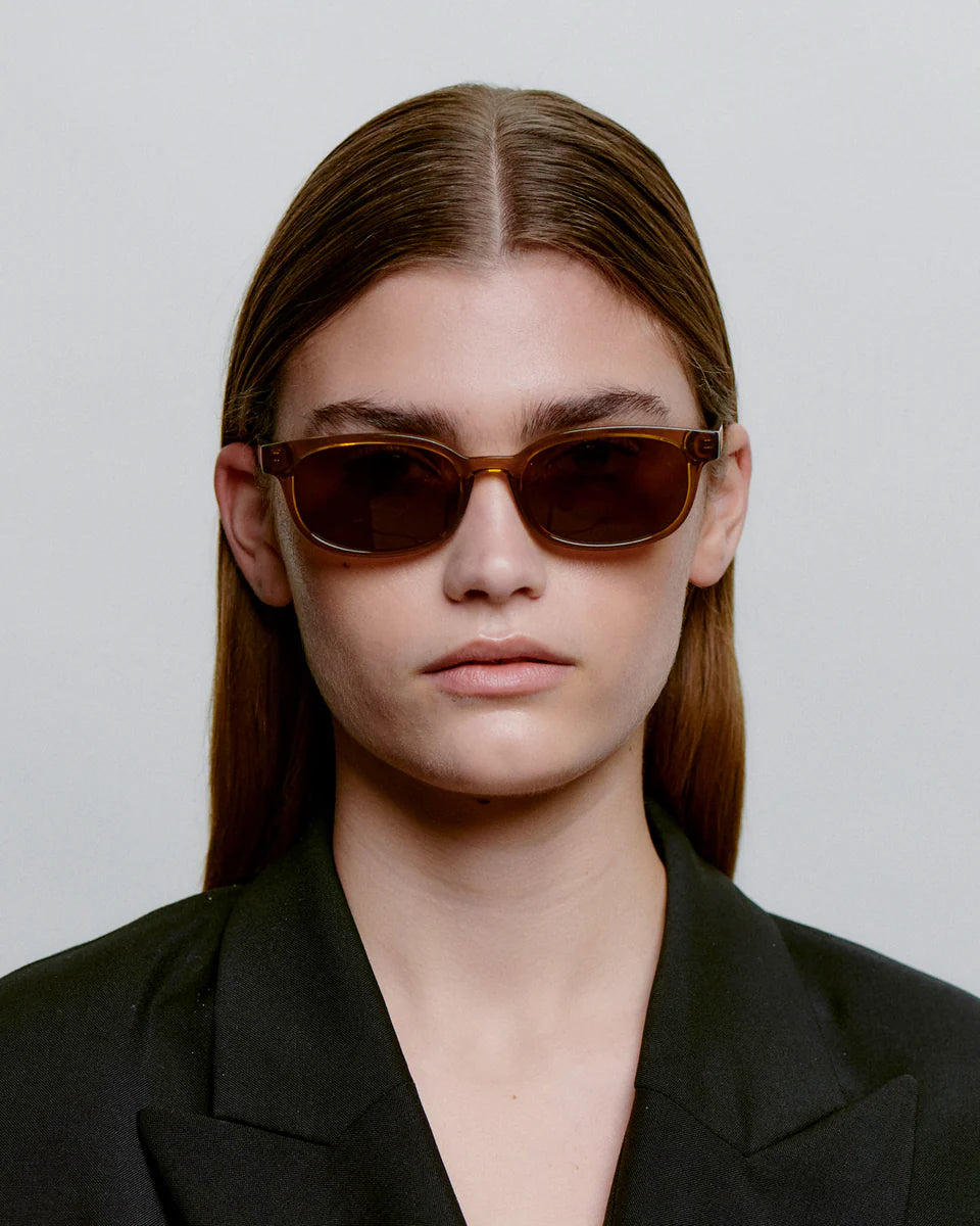 Charlie Smoke Transparent Sunglasses - Domestic Science Home