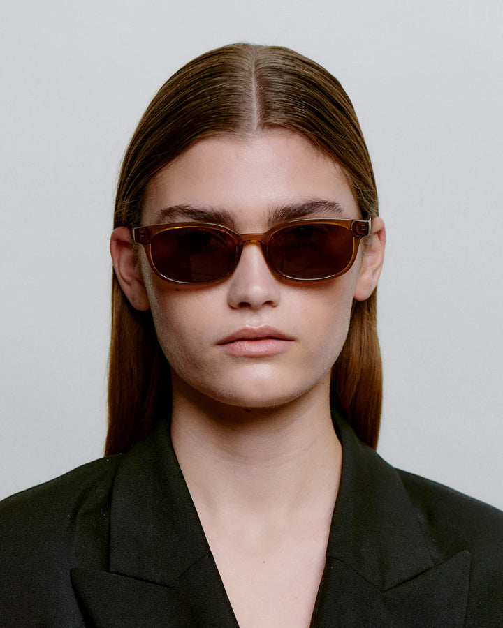 Charlie Smoke Transparent Sunglasses - Domestic Science Home