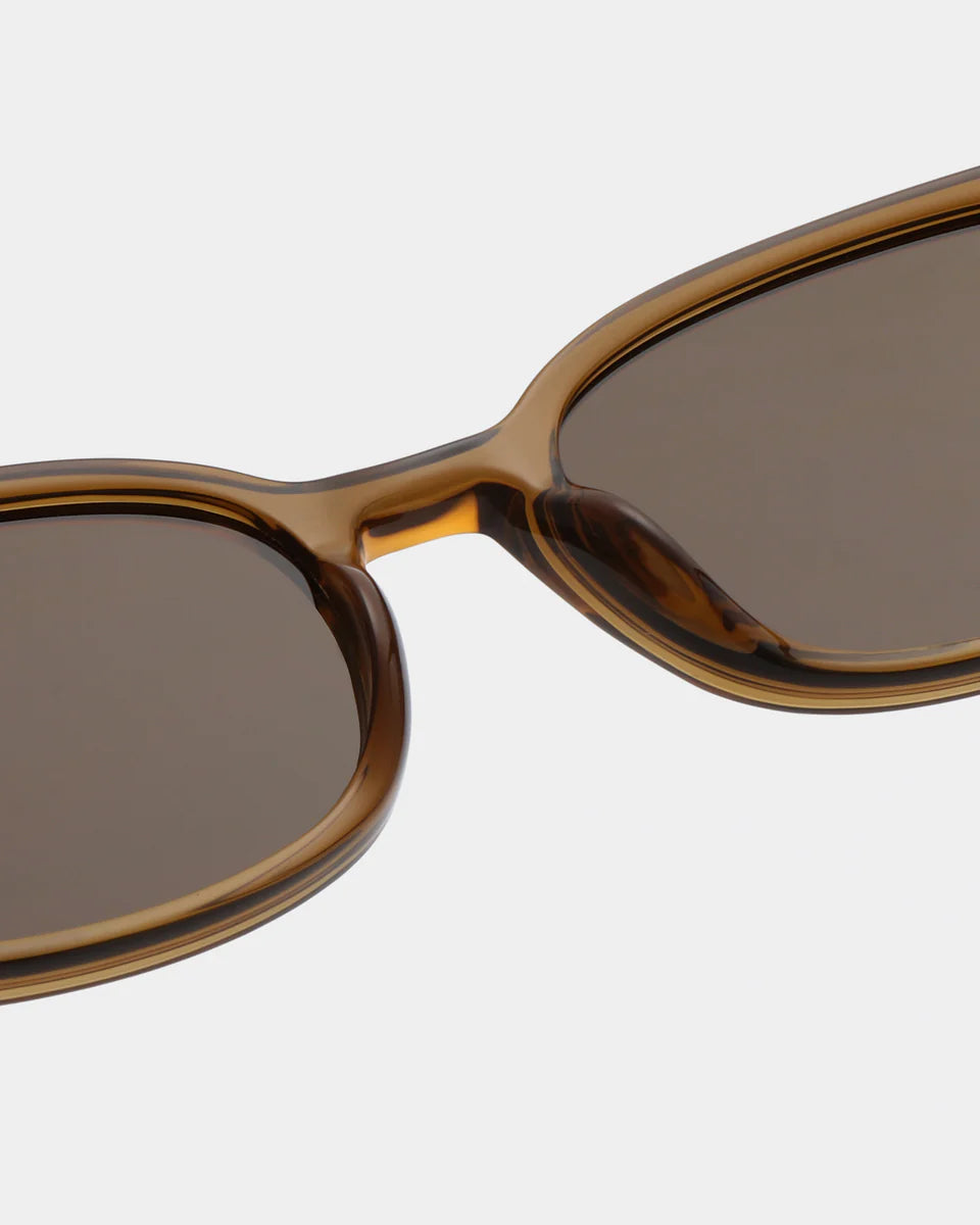 Charlie Smoke Transparent Sunglasses - Domestic Science Home