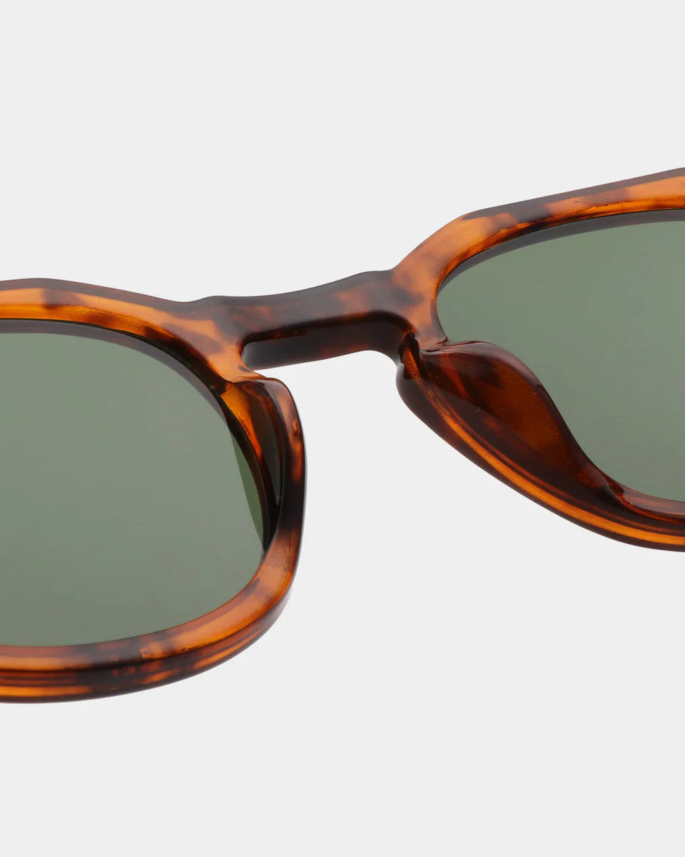 Zan Sunglasses / Havanna - Domestic Science Home