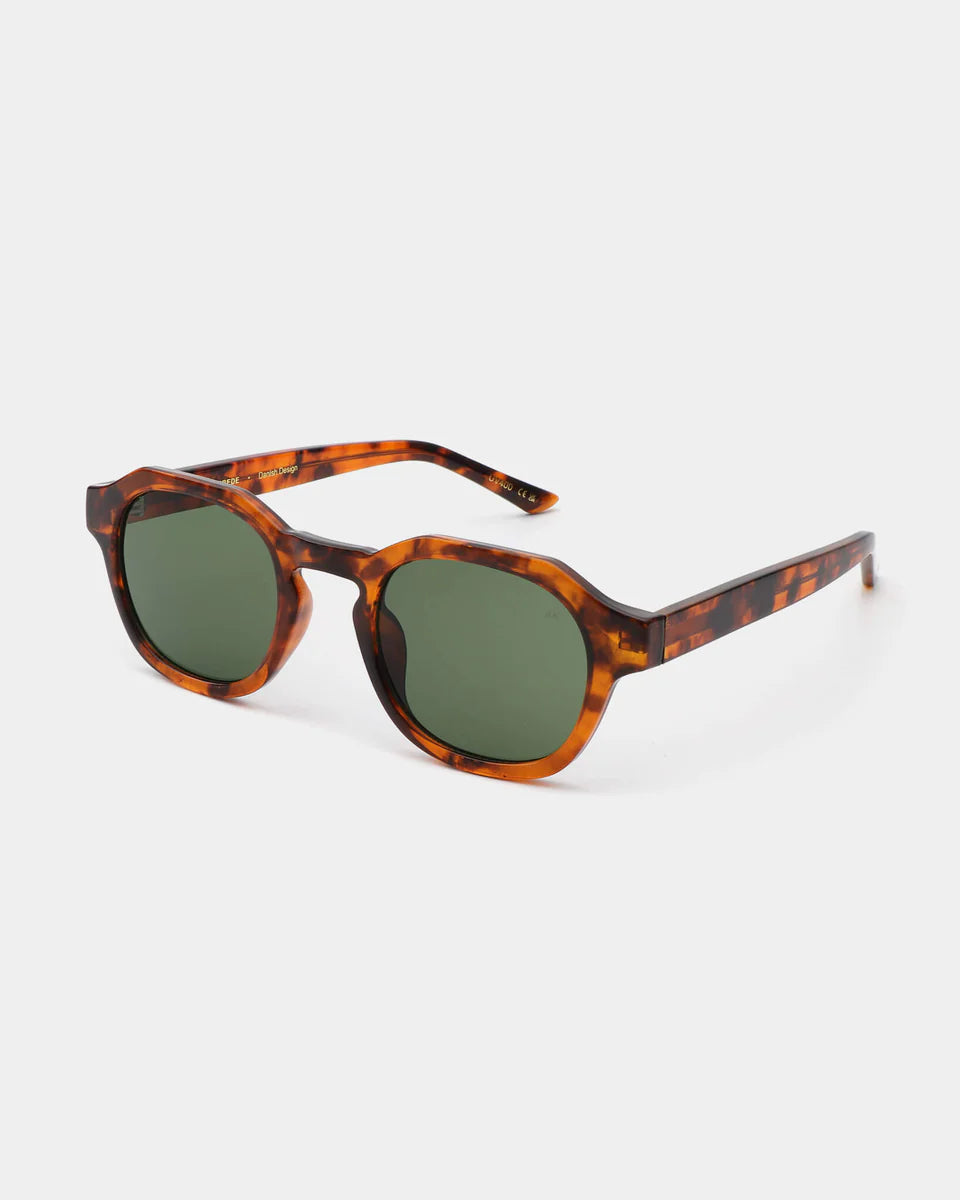 Zan Sunglasses / Havanna - Domestic Science Home