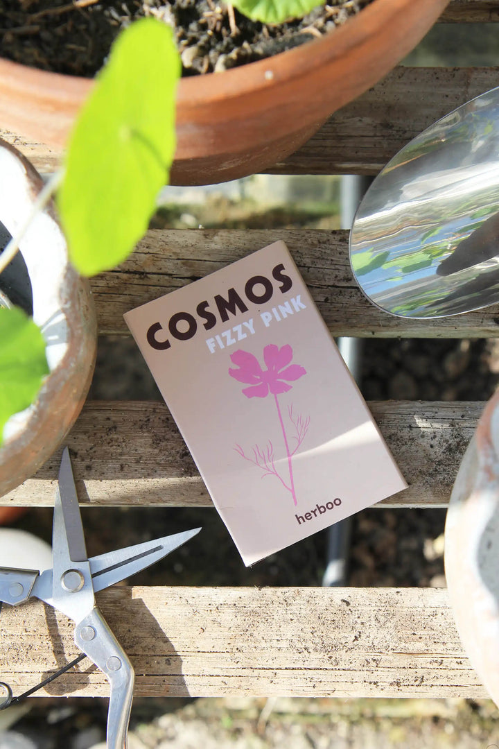 Seed Pack / Cosmos Fizzy Pink