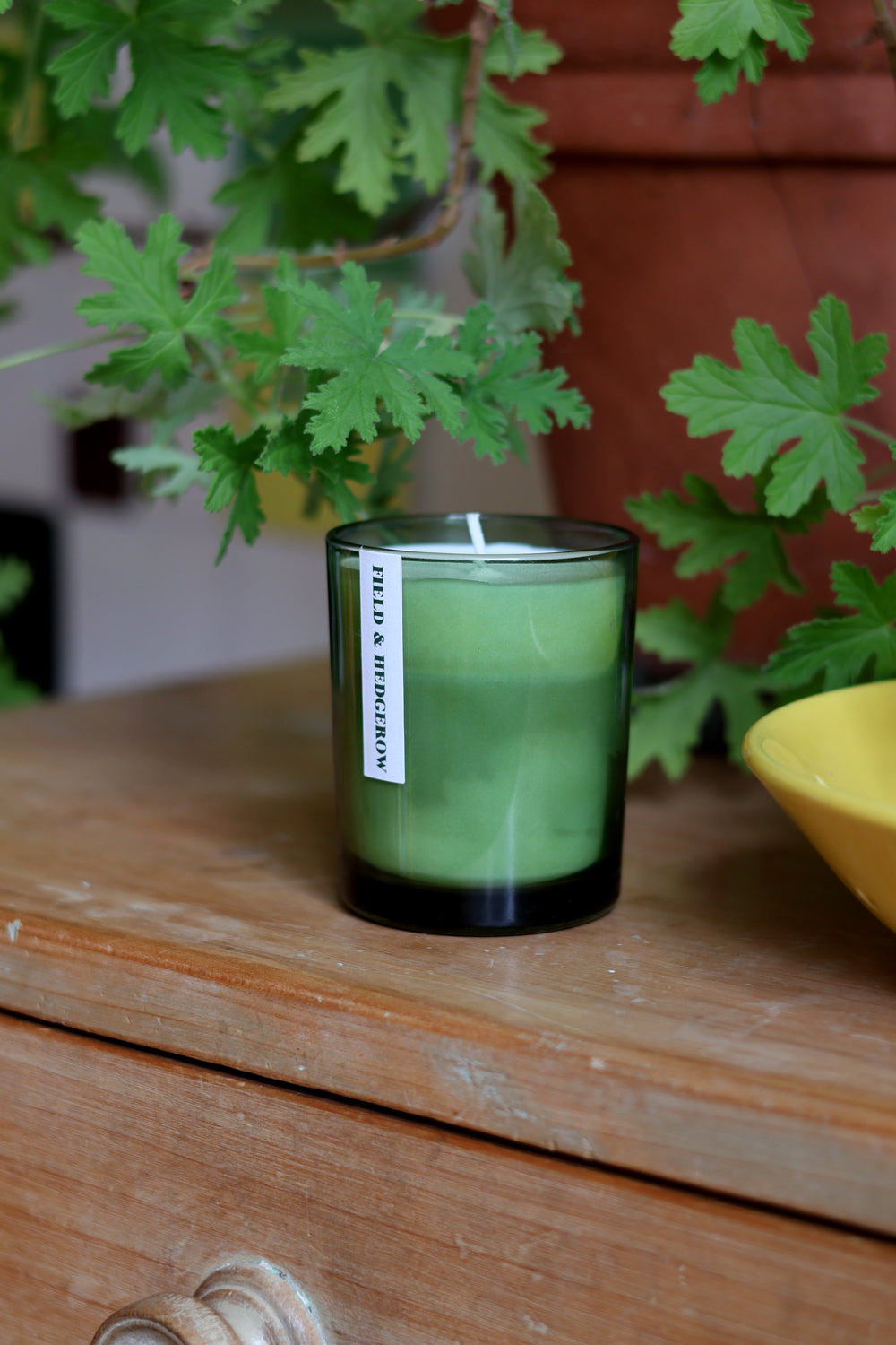 A green glass jar candle with a white label reading 'PETER & JENNERSON' sits on a wooden surface, surrounded by green leaves and a yellow bowl in a styled indoor setting.