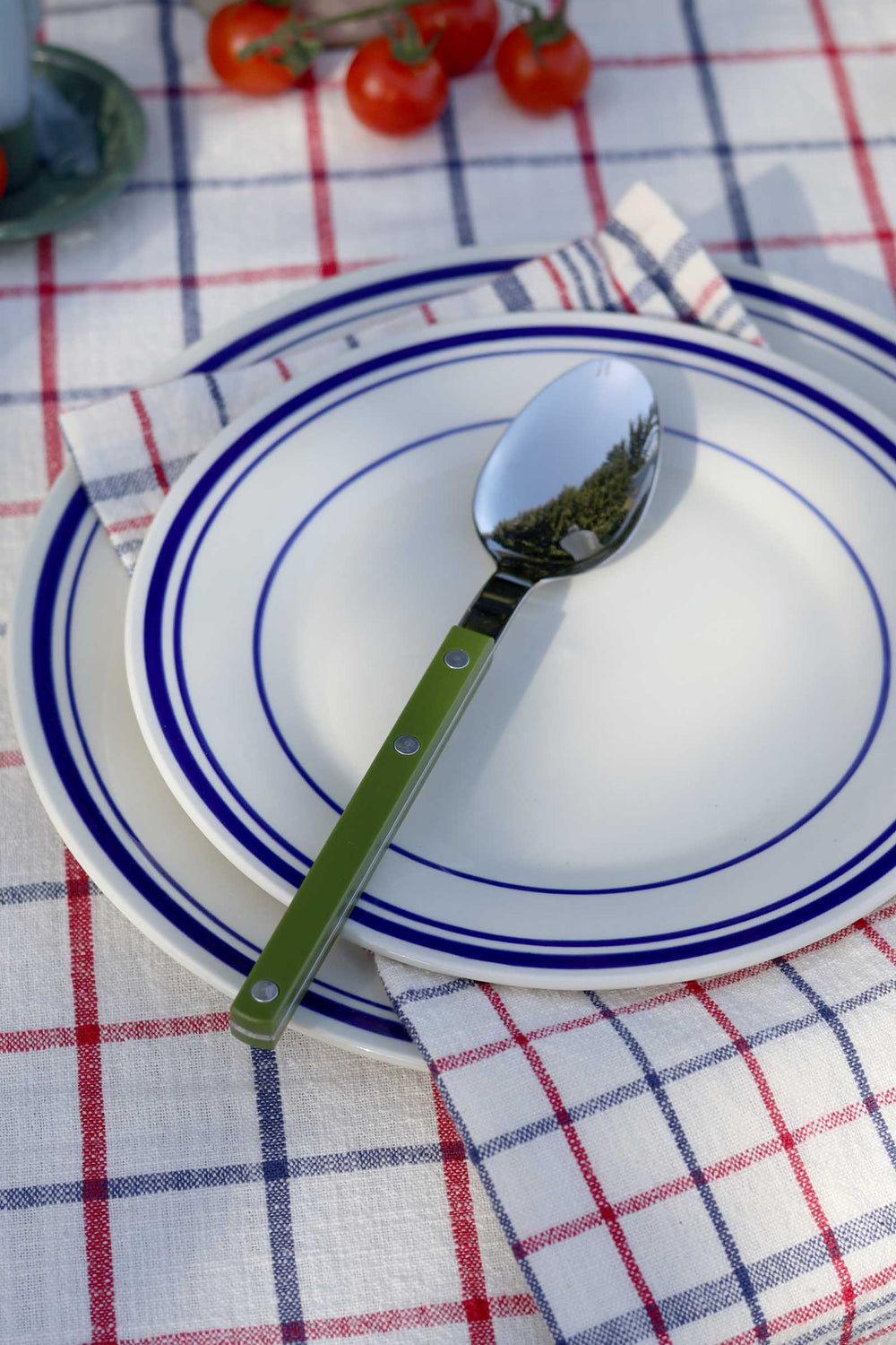 Spoon on a white plate with blue rim on a checkered tablecloth