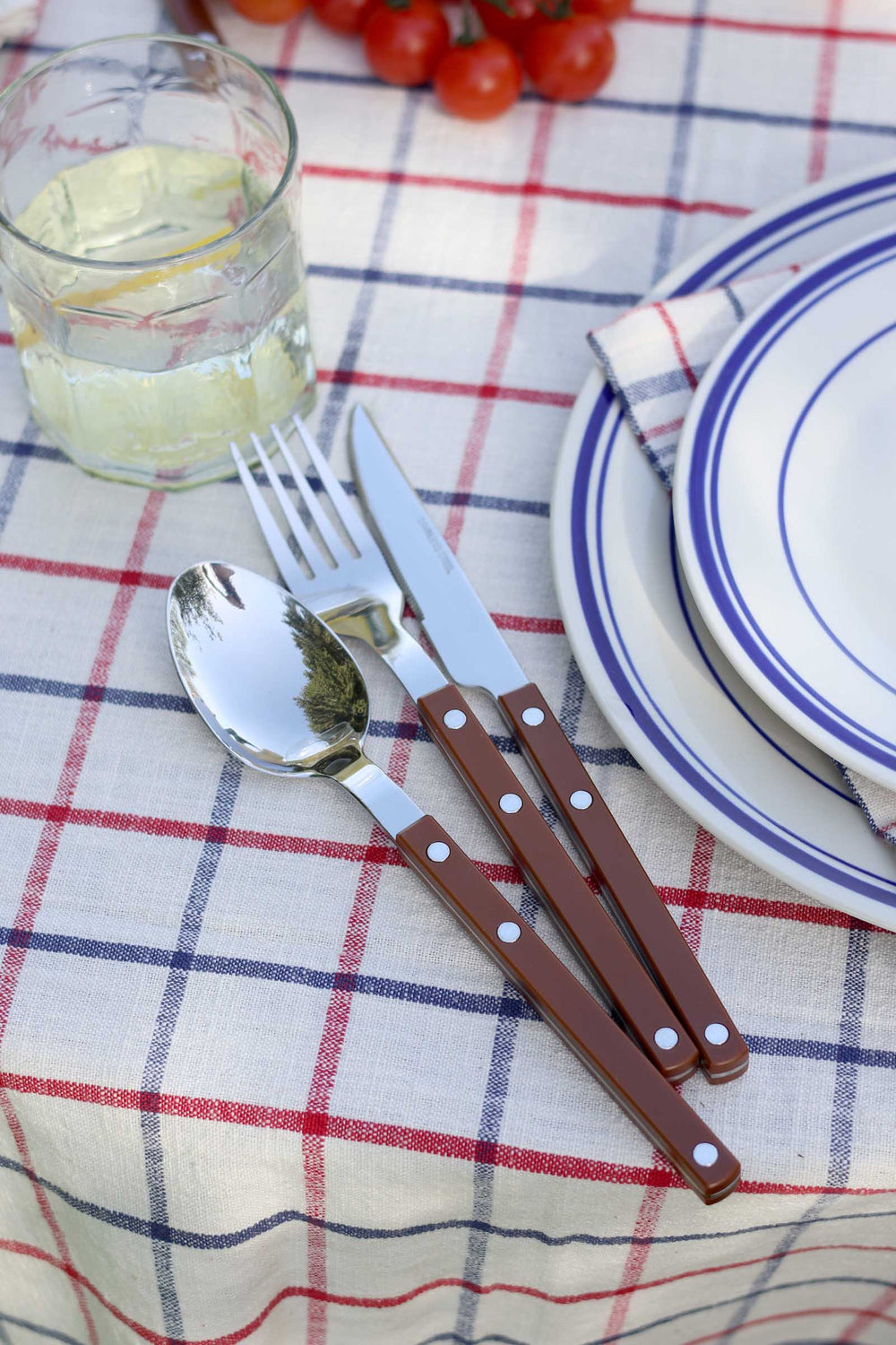 Set of cutlery with brown handles on a checkered tablecloth