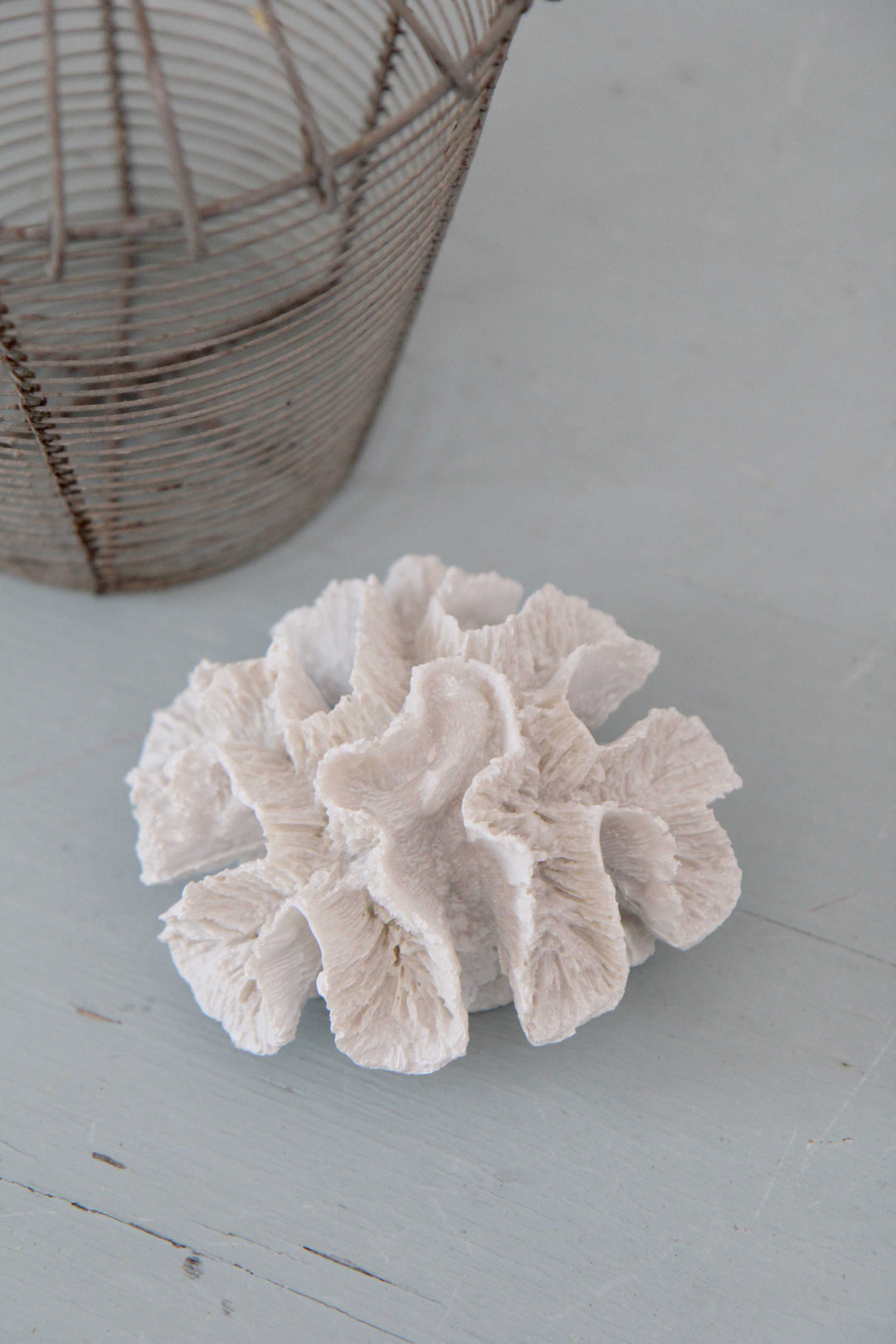 Resin Frill Coral Ornament Sml