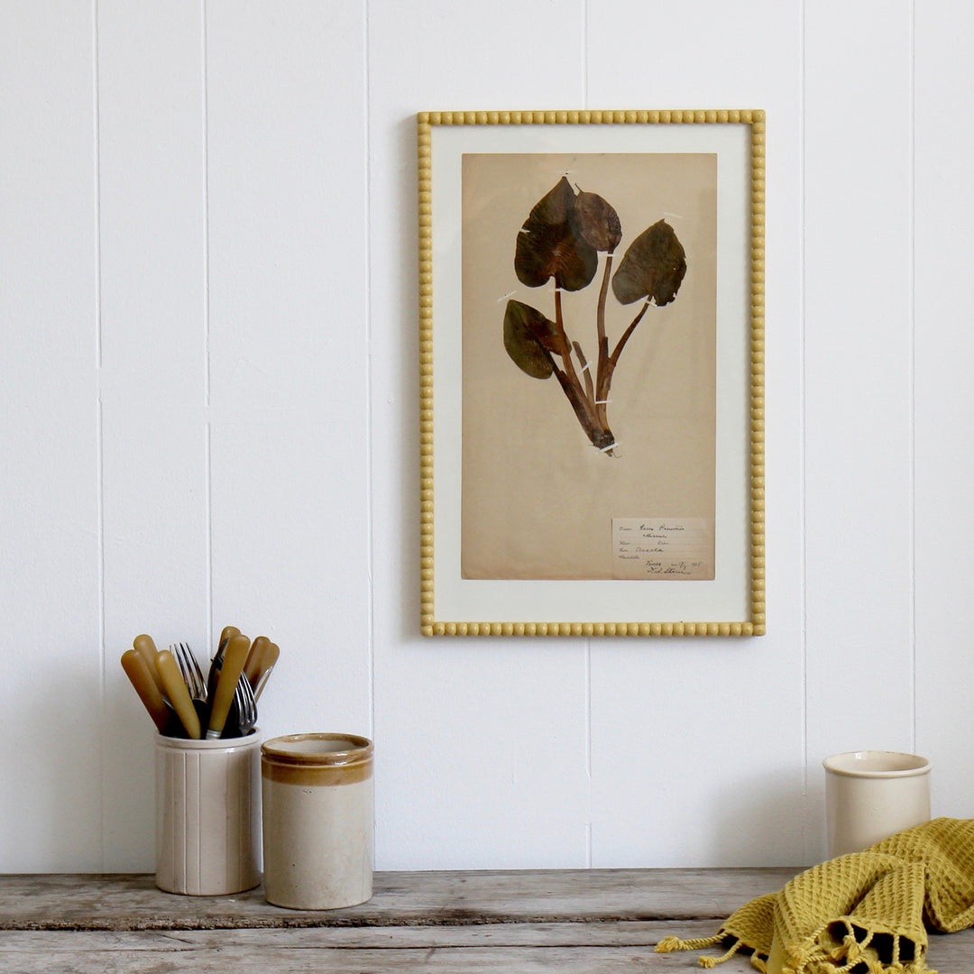 Antique Pressed Grass No.3 - Yellow Frame