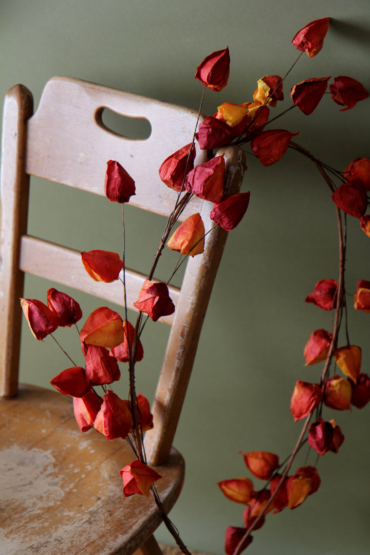 Orange Physalis Garland