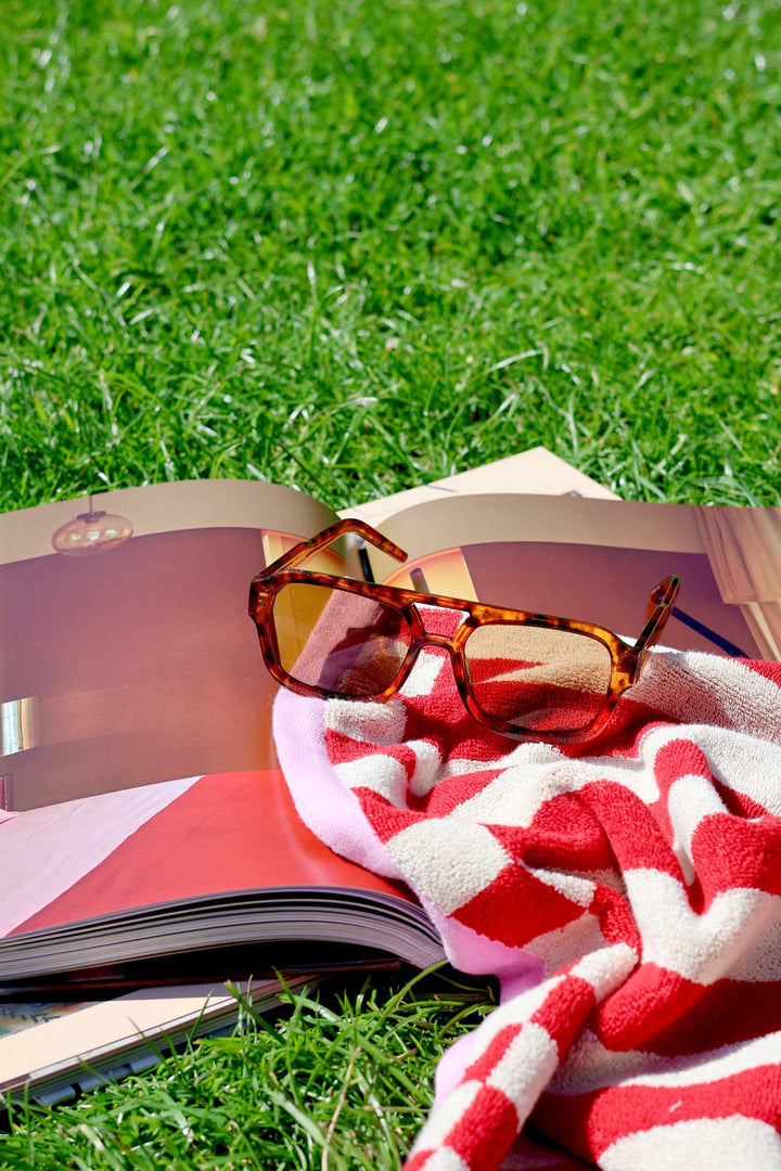 Open book with sunglasses and a red and white striped towel on green grass