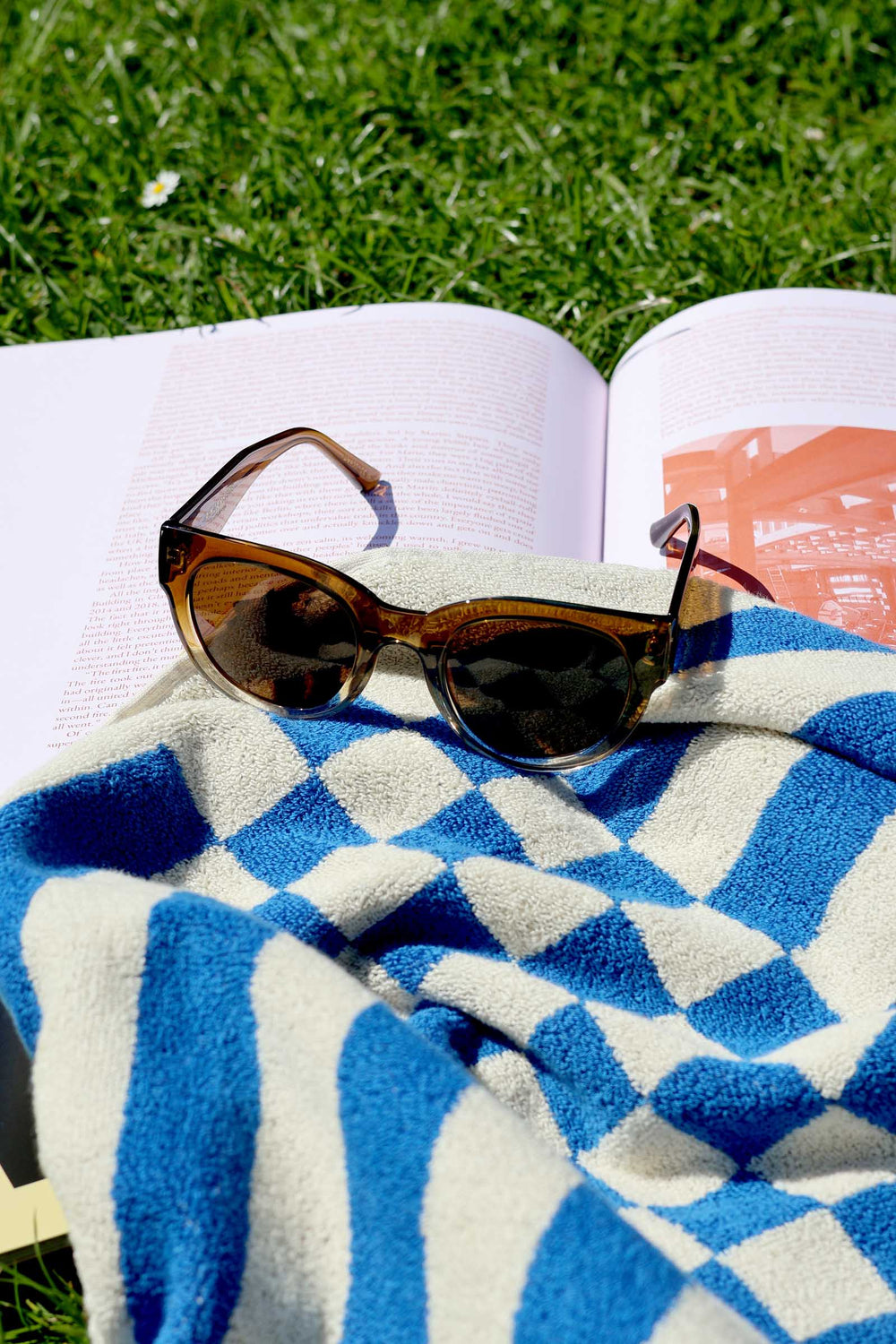 Lilly Sunglasses / Smoke Champagne
