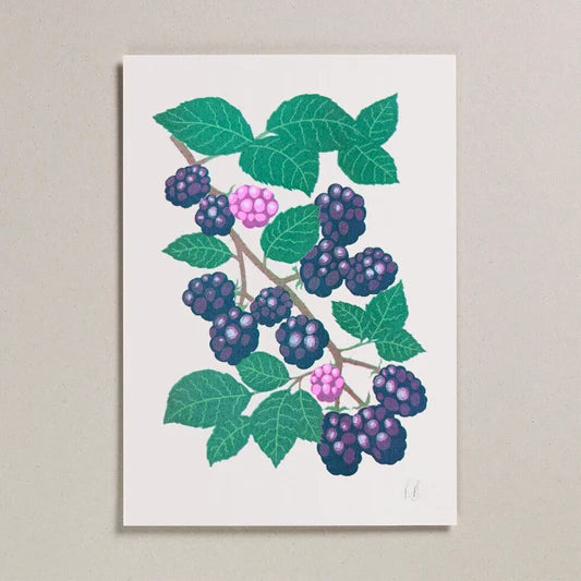 Blackberry Fruit Greeting Card