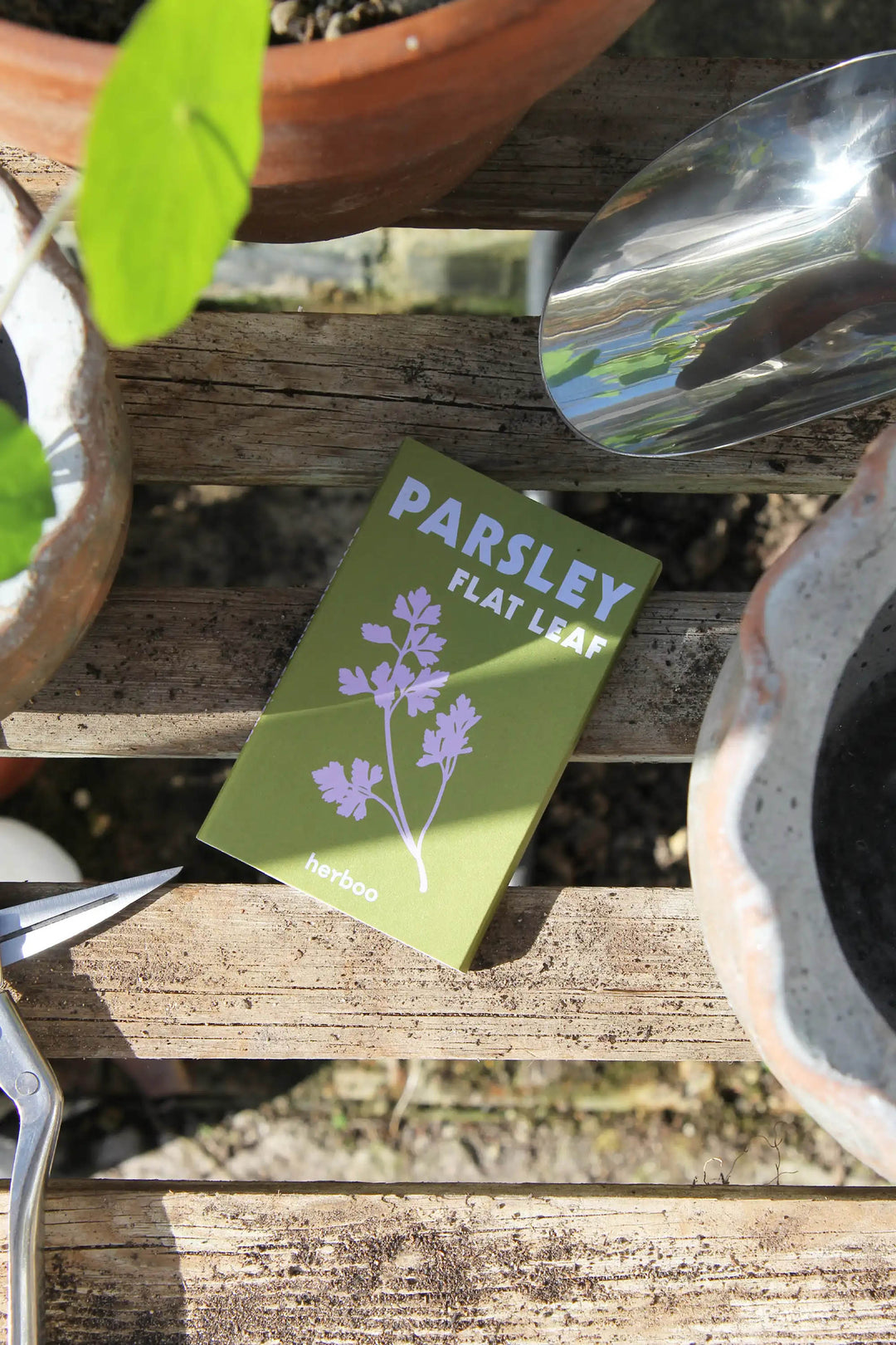 Seeds / Parsley