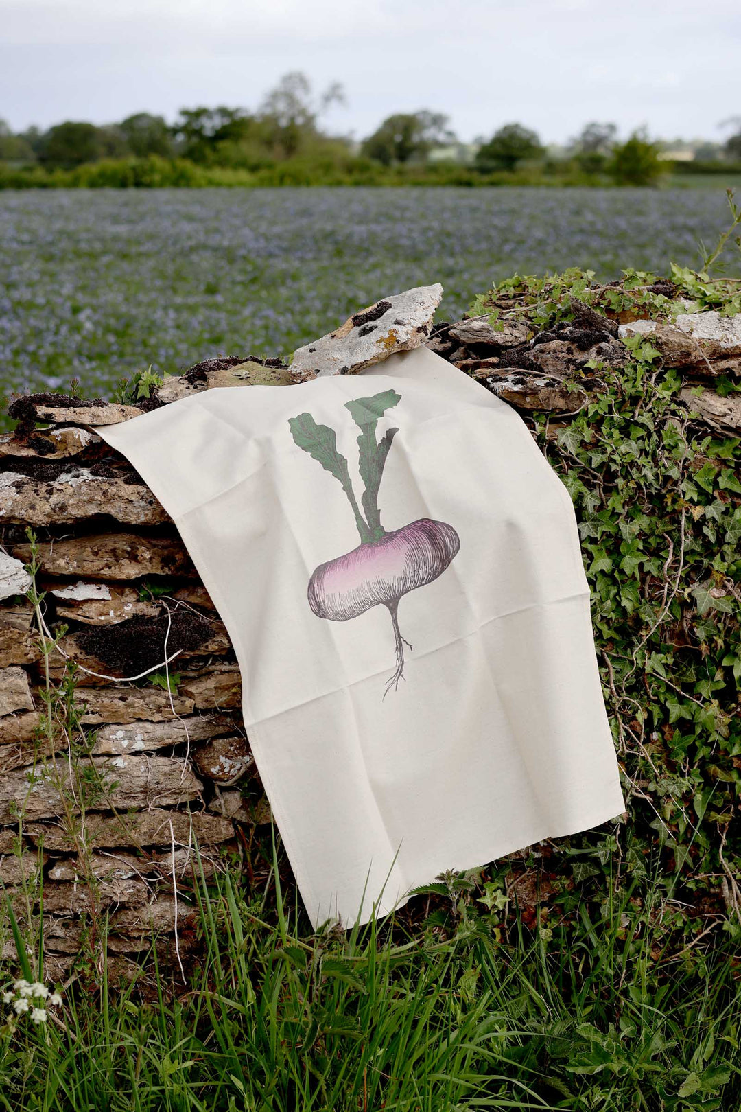 Sheet with a radish illustration draped over a stone wall in a field.