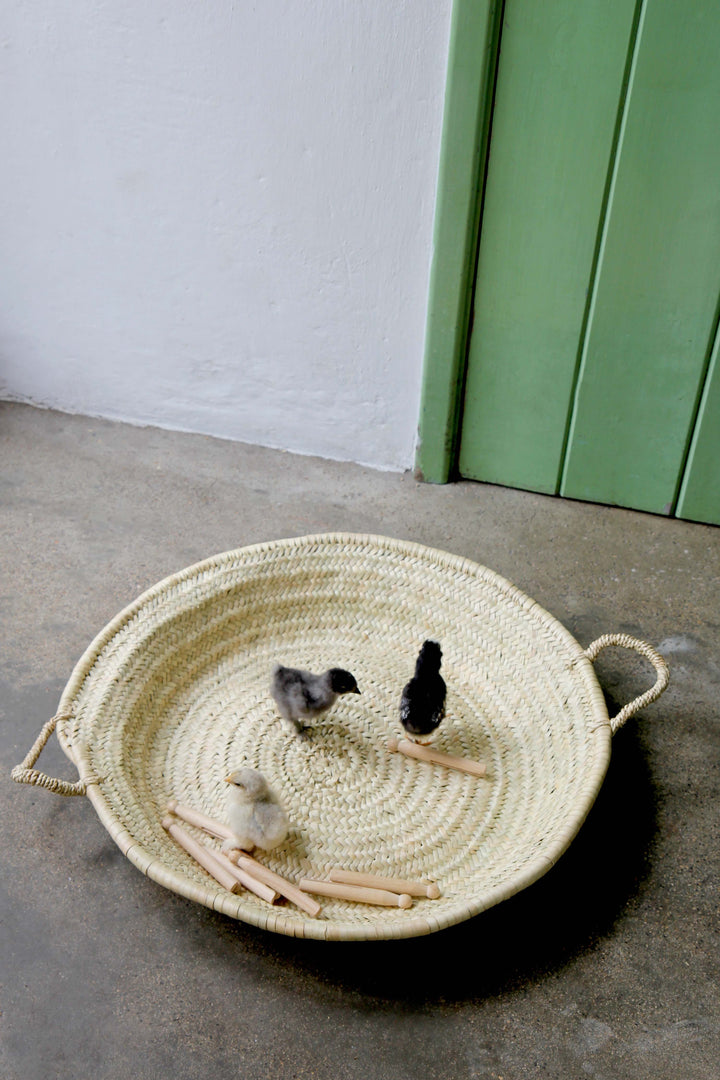 Woven basket with small wooden sticks and chicks on a concrete floor.