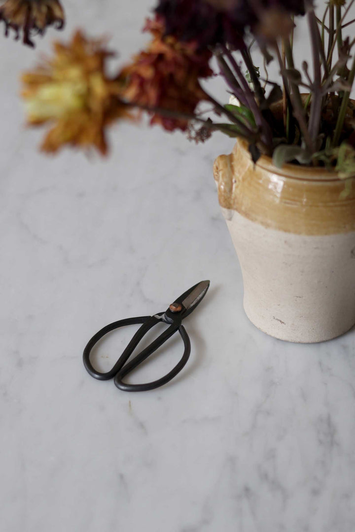 Scissors Small