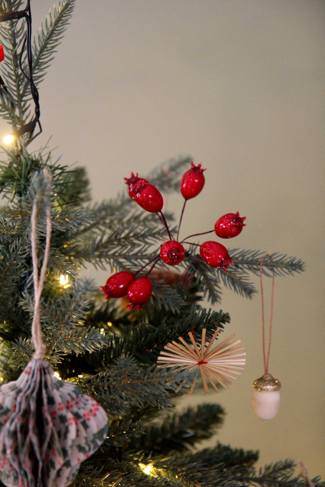 Shiny Red Rosehip Pick Bunch