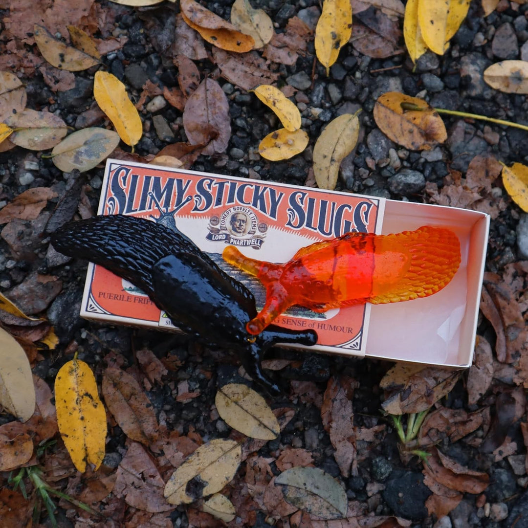 Slimy Sticky Slugs – Domestic Science Home