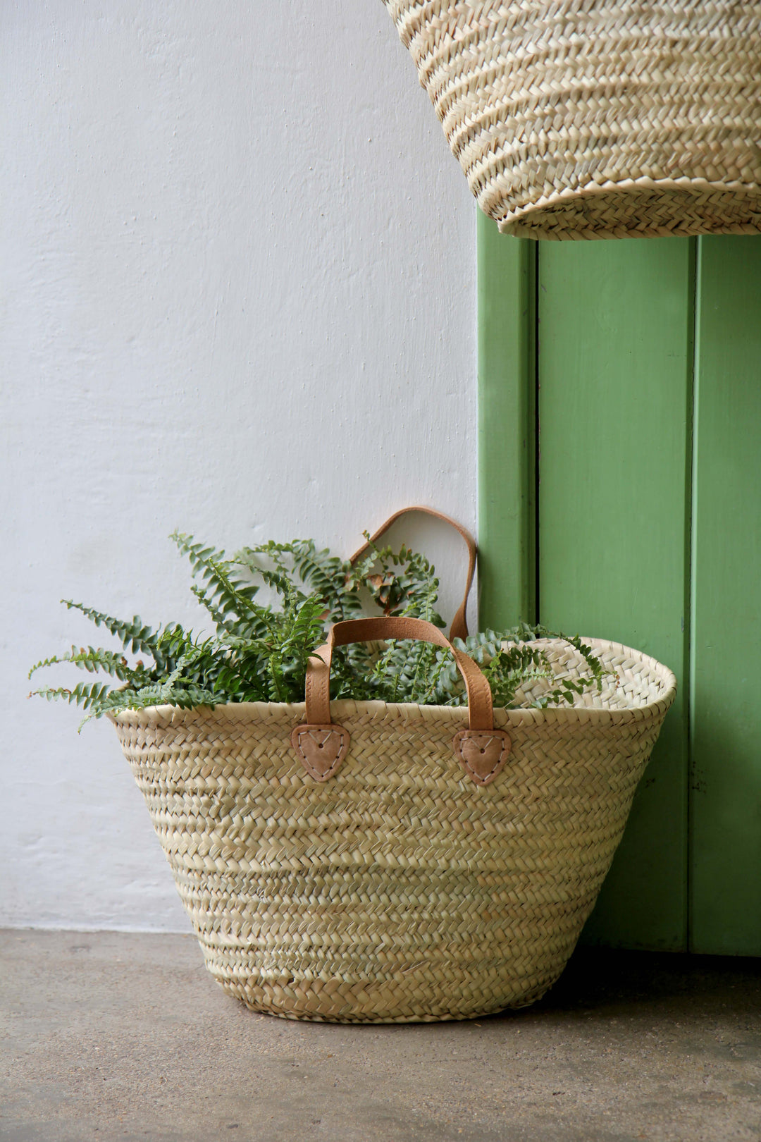 Woven basket with plants against a green wall