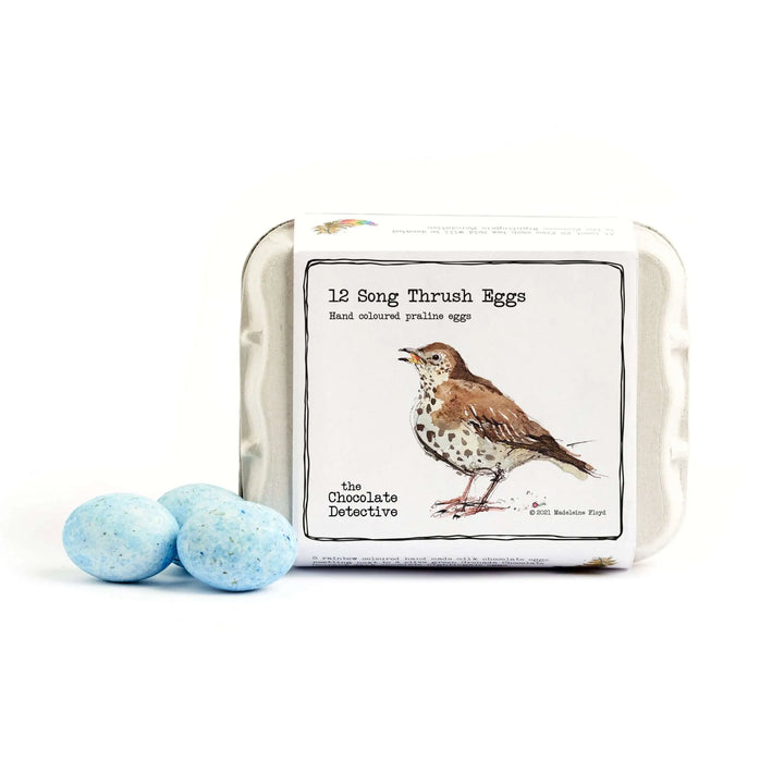 song thrush chocolate bird eggs