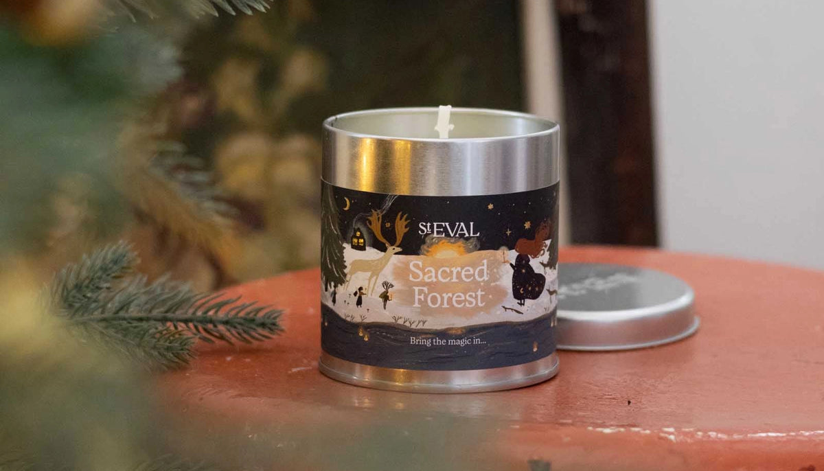 scared forest tin candle by st eval candle company