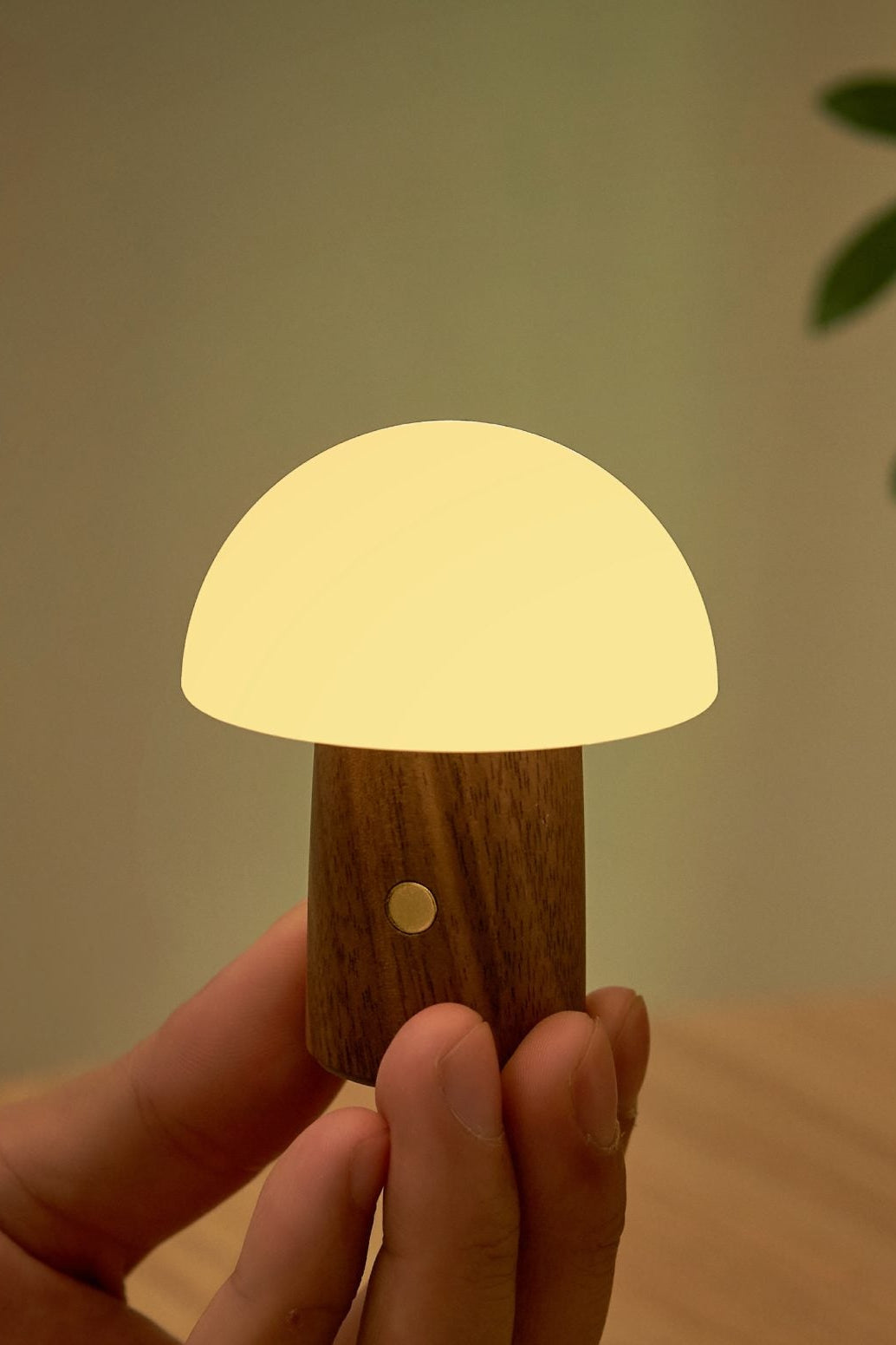 Hand holding a small mushroom-shaped light with a plant in the background