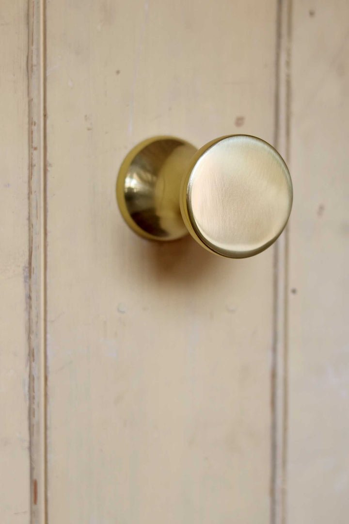 Brass door handle on a wooden door