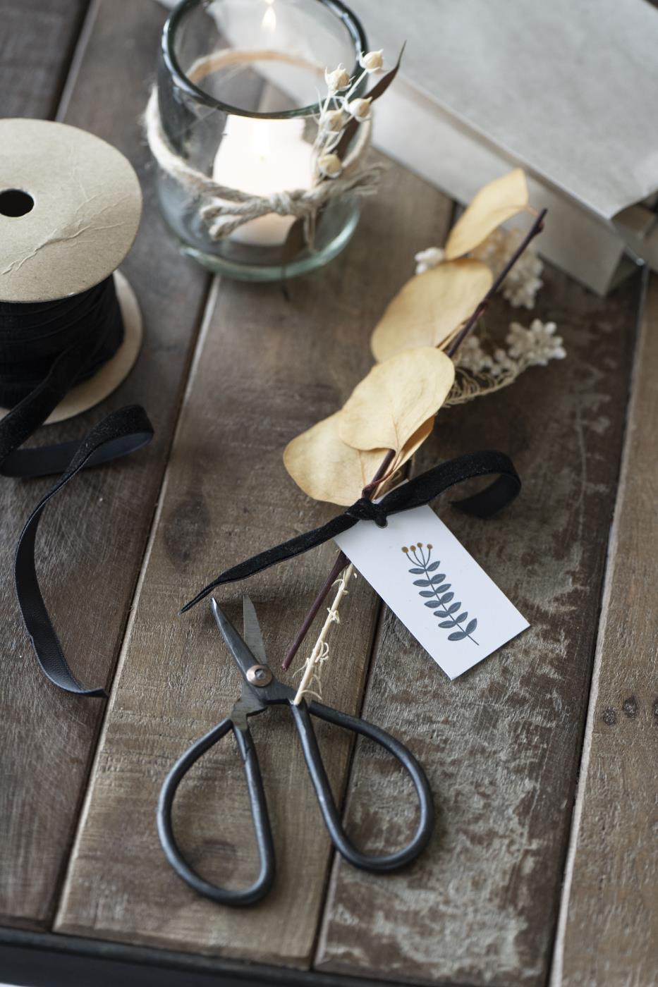 Scissors Small