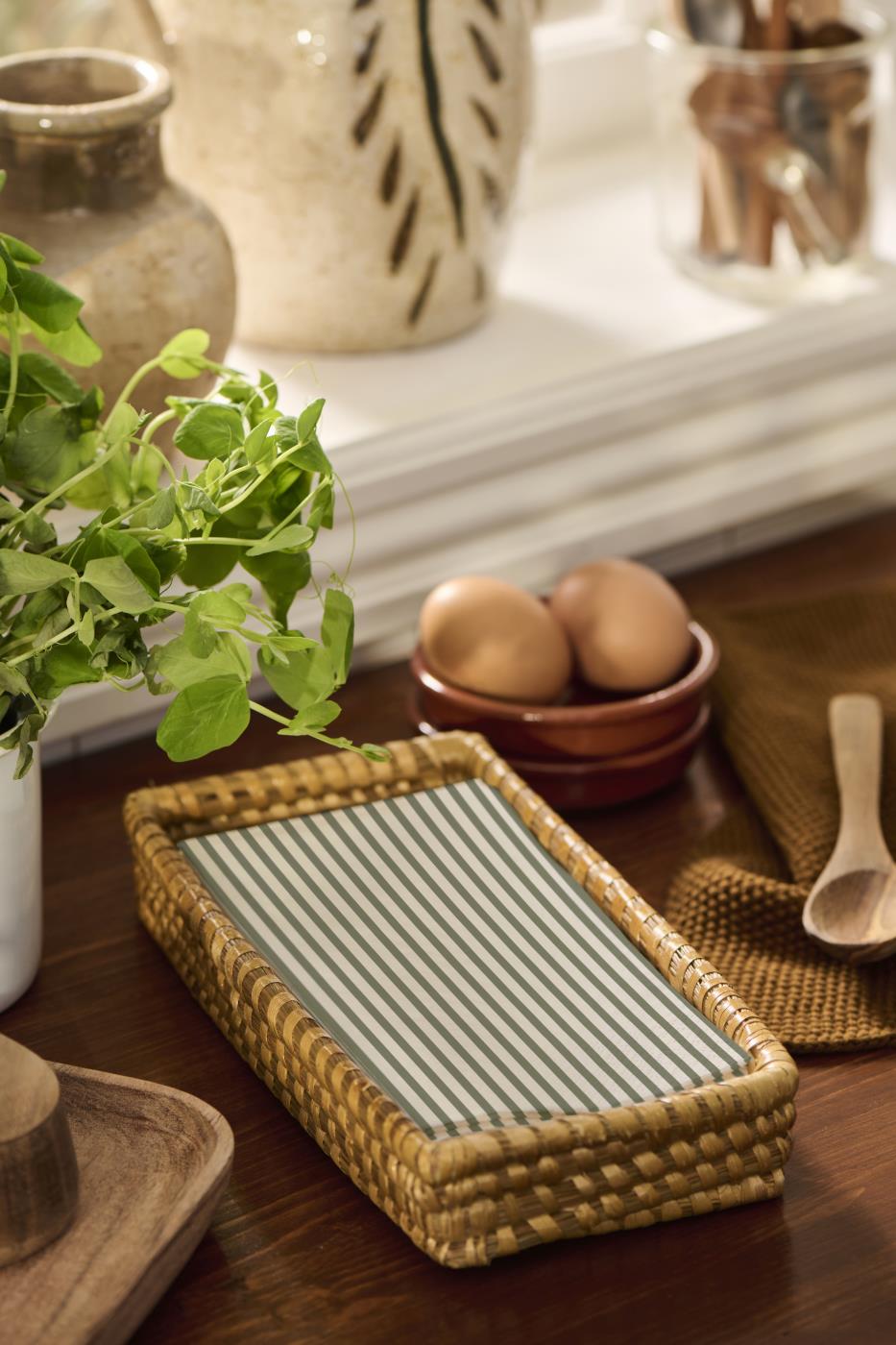 Green Stripe Paper Napkins / Pk 16