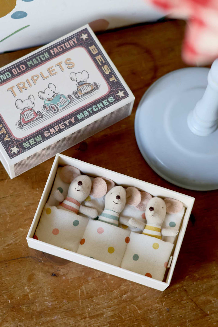 Triplets, Baby mice in matchbox