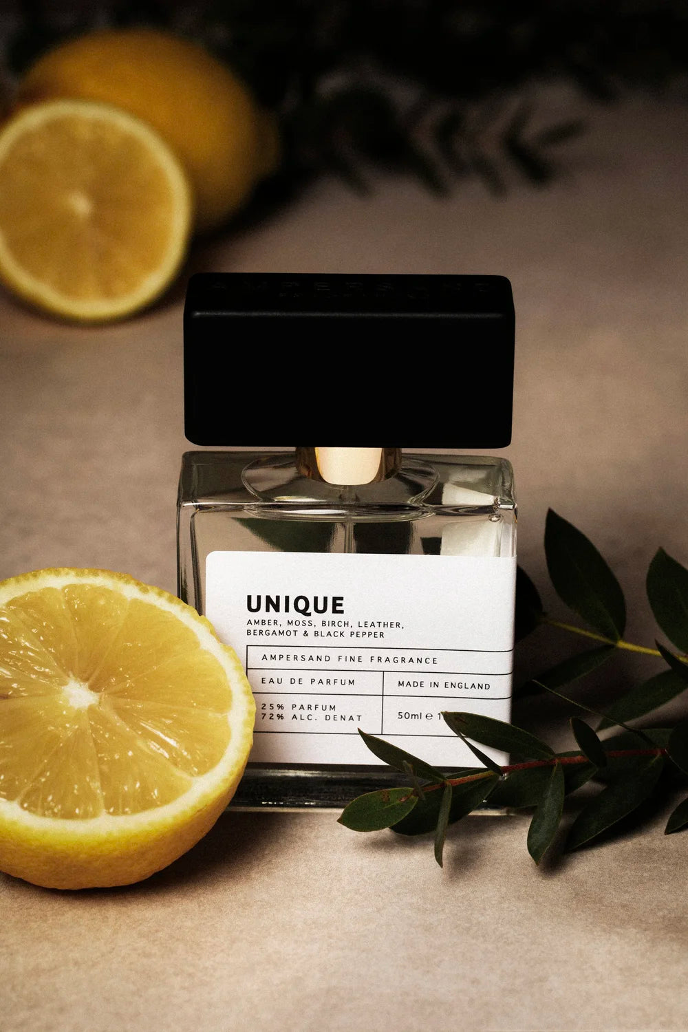 Ampersand Fragrance / Unique - Domestic Science Home