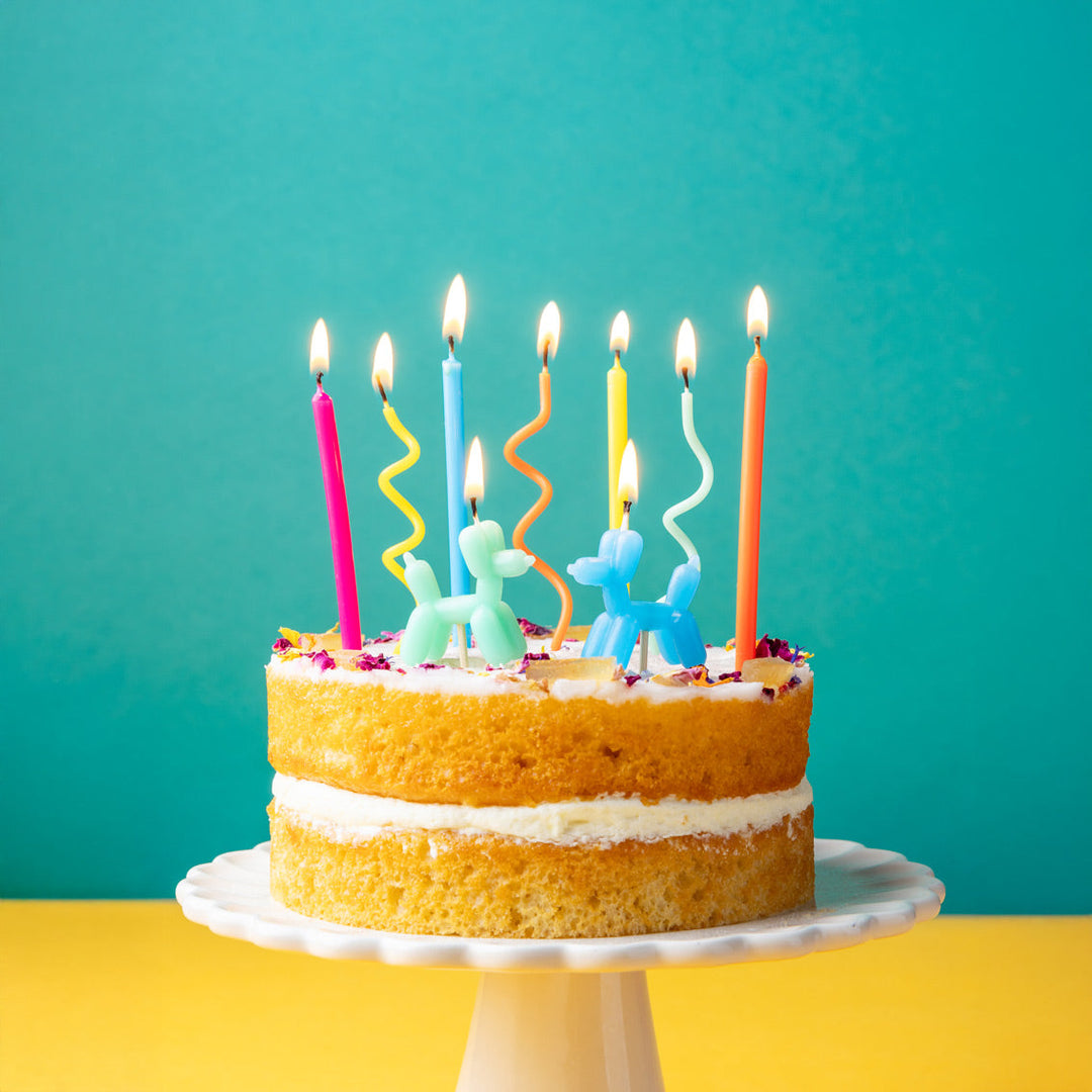 Birthday cake with colourful novelty dog candles on a teal background
